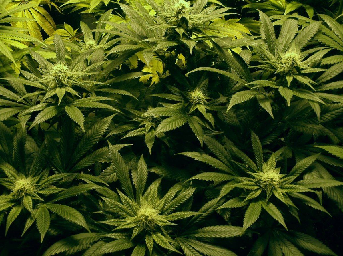 GEDC1216