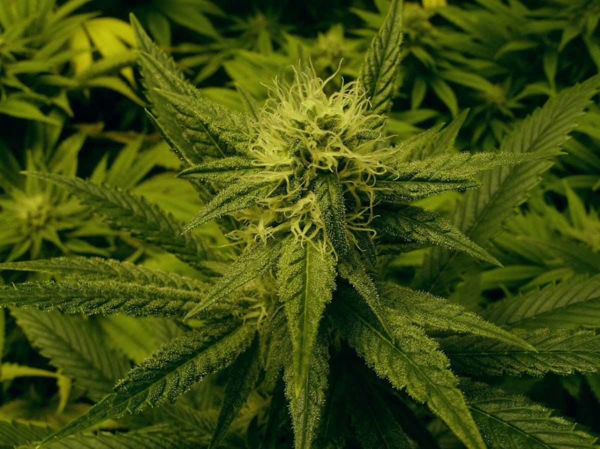 GEDC1224