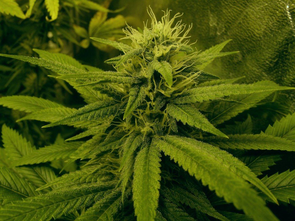 GEDC1249