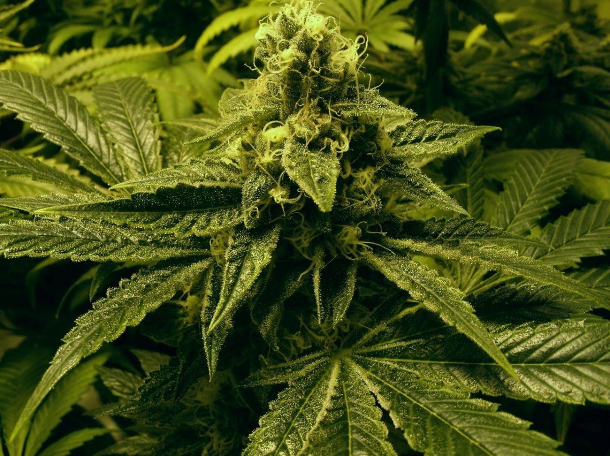 GEDC1375