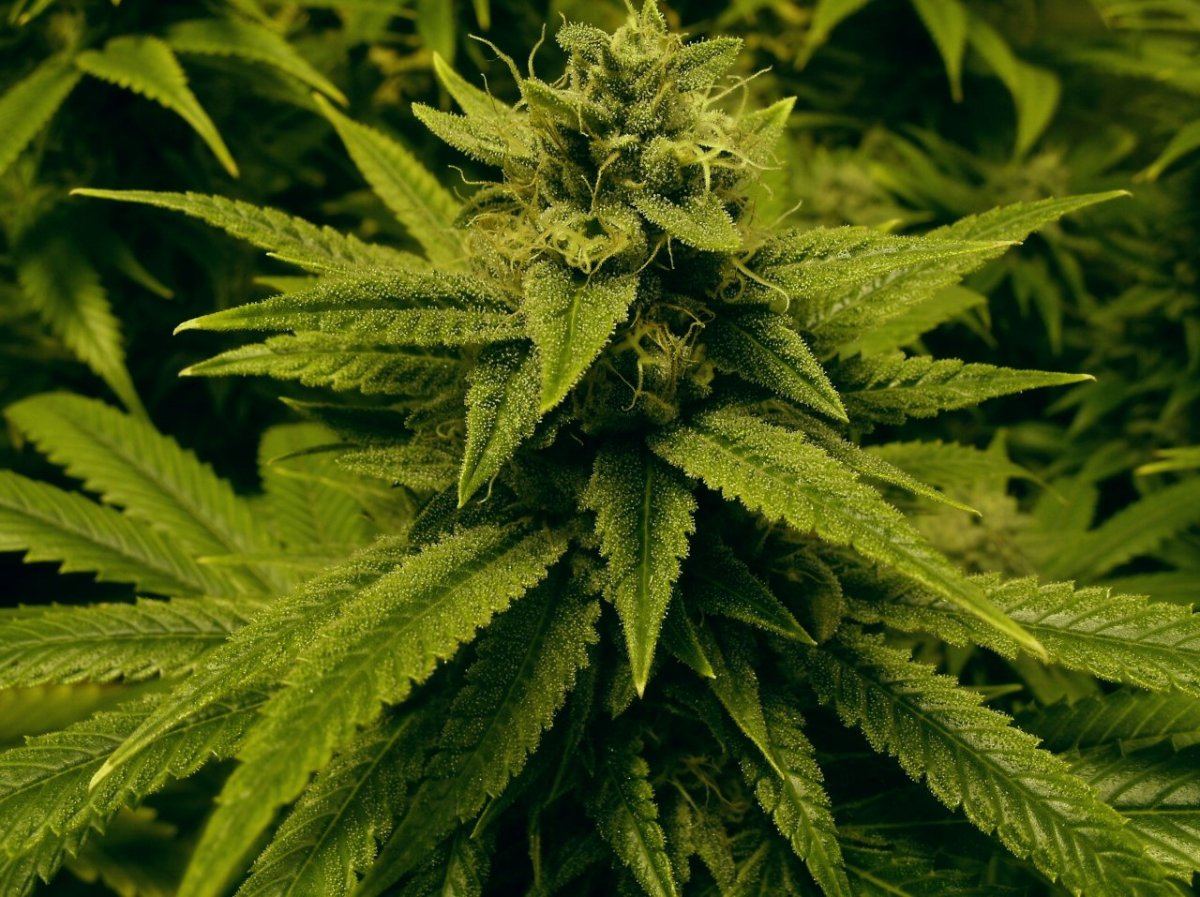 GEDC1379