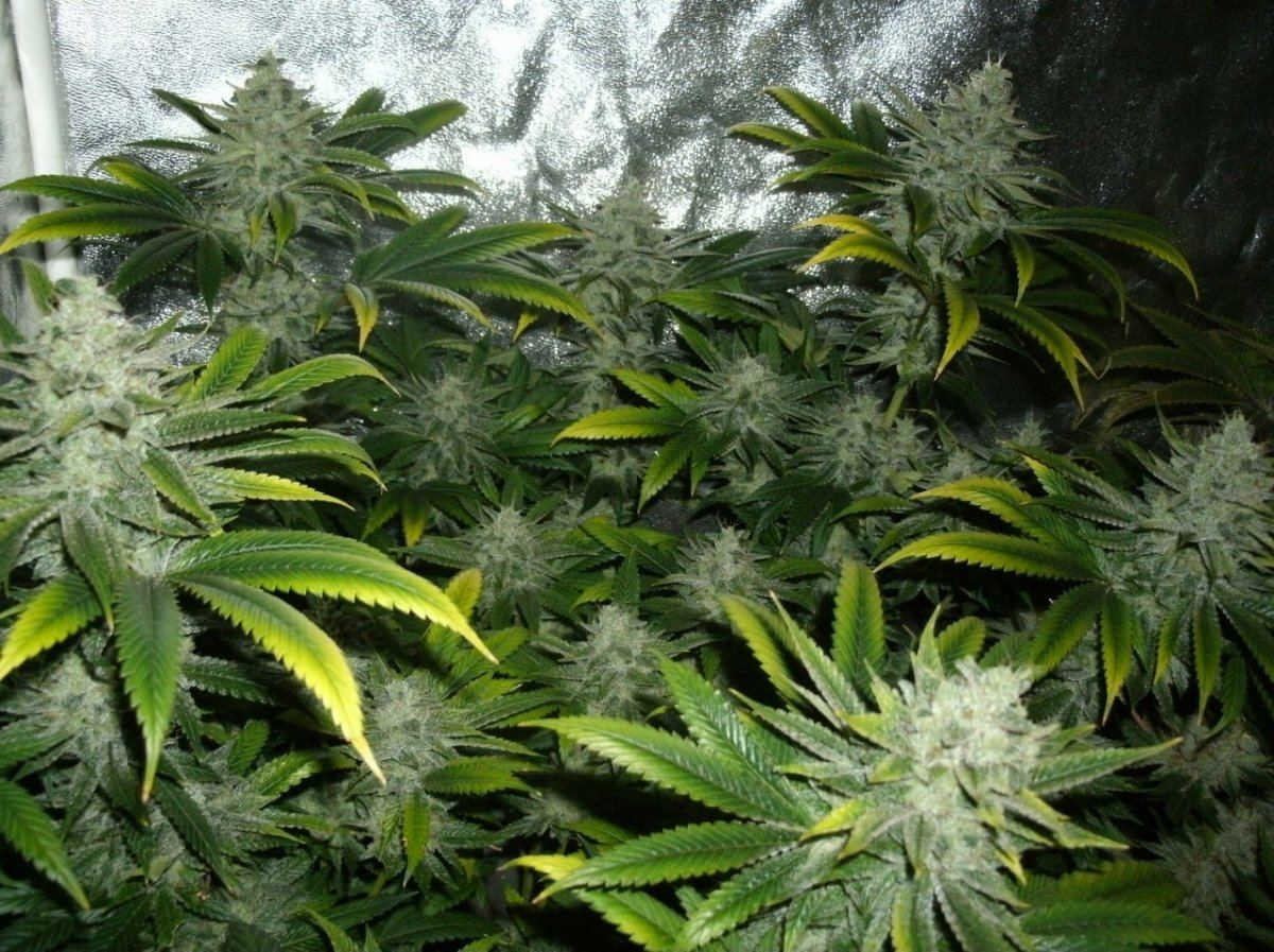 GEDC1402