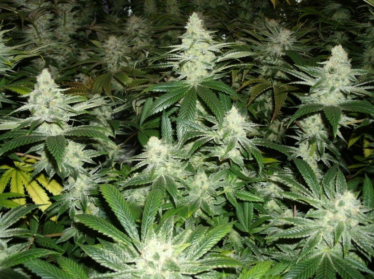 GEDC1404