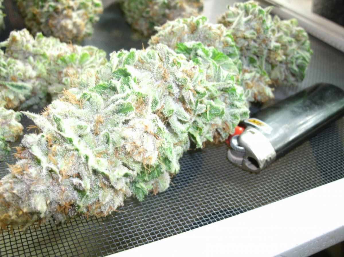 GEDC1533