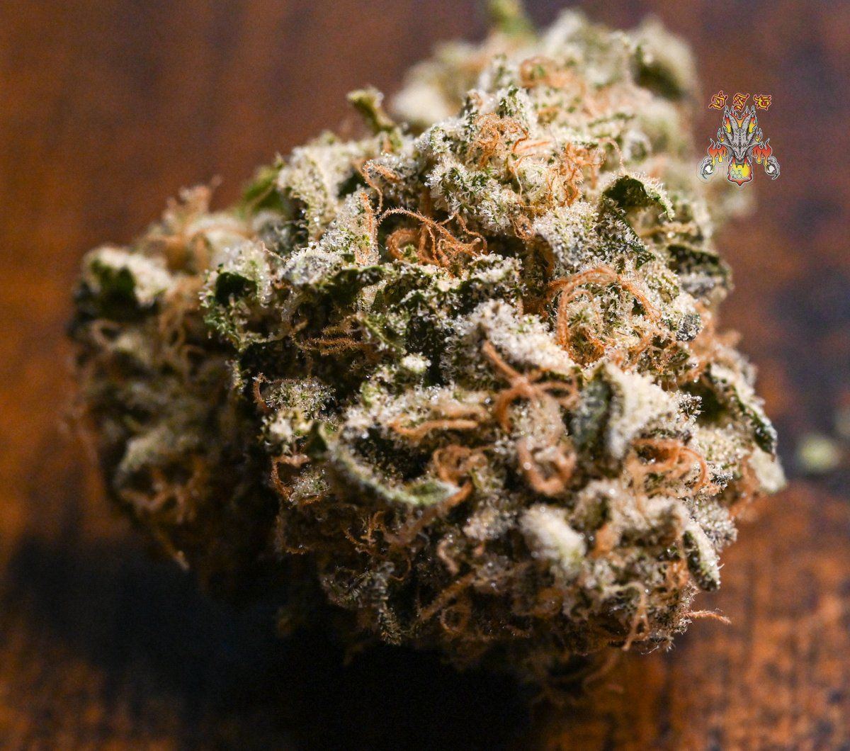 Gelato dosido 1 2