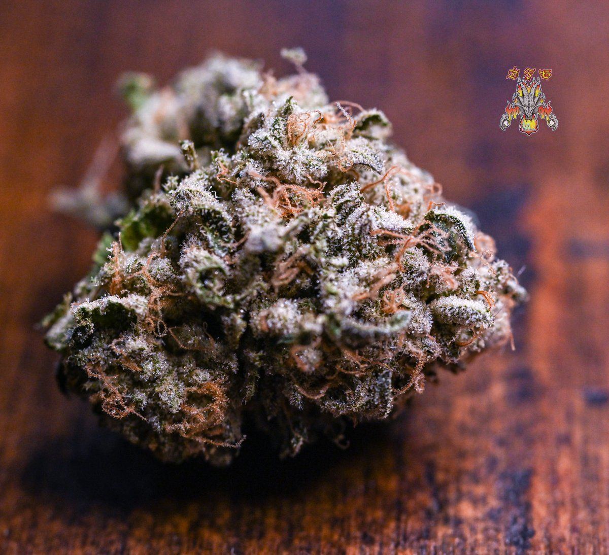 Gelato dosido 2