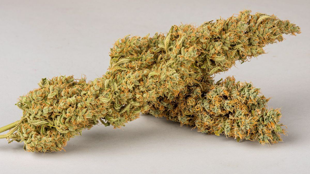 Gelato