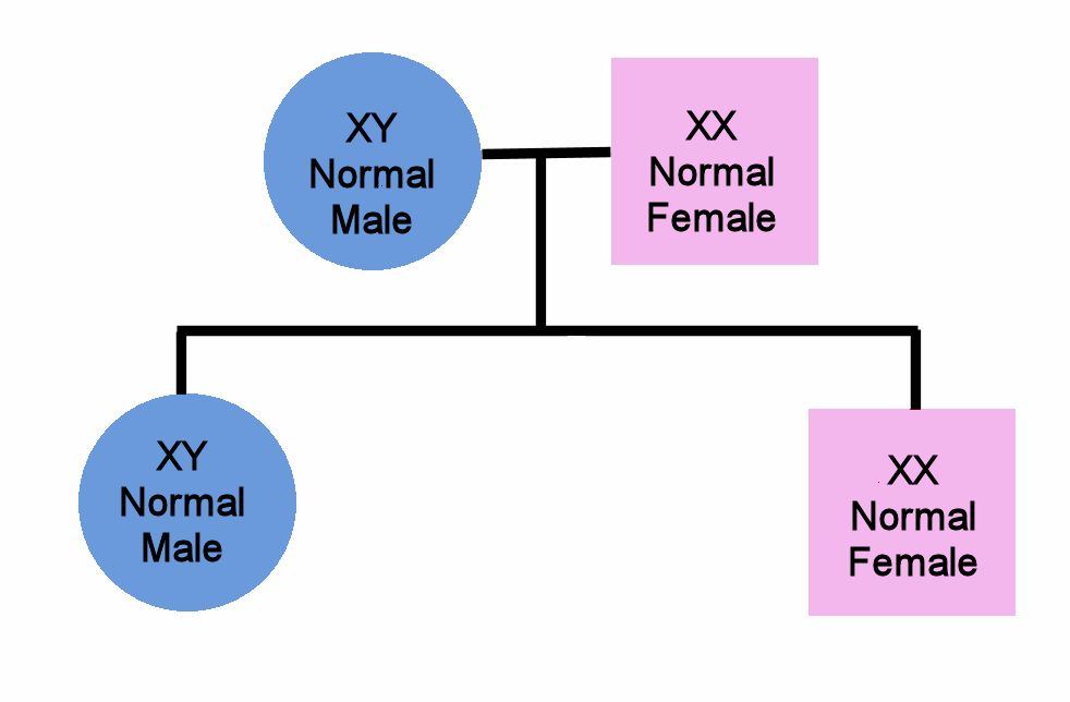 GeneticsE