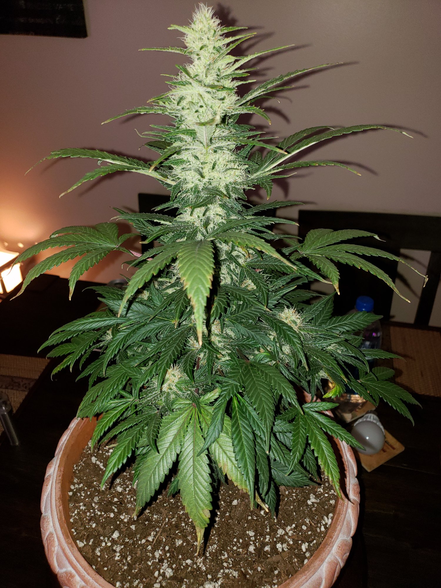 Getting close