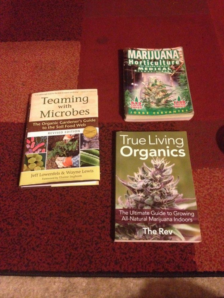 Getting to know tlo organic growing