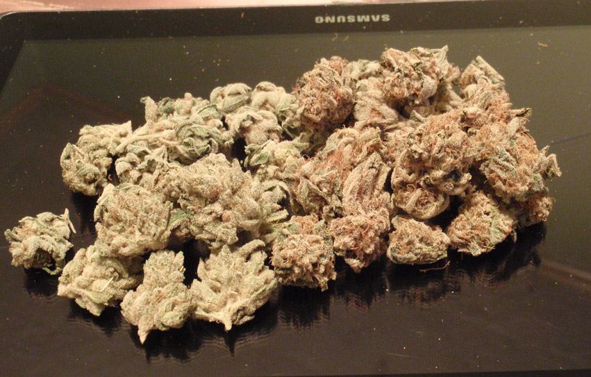 GG4 Burkle