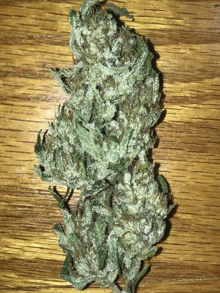 Gg4  
