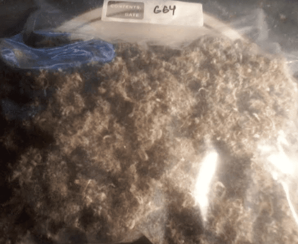 GG4102917