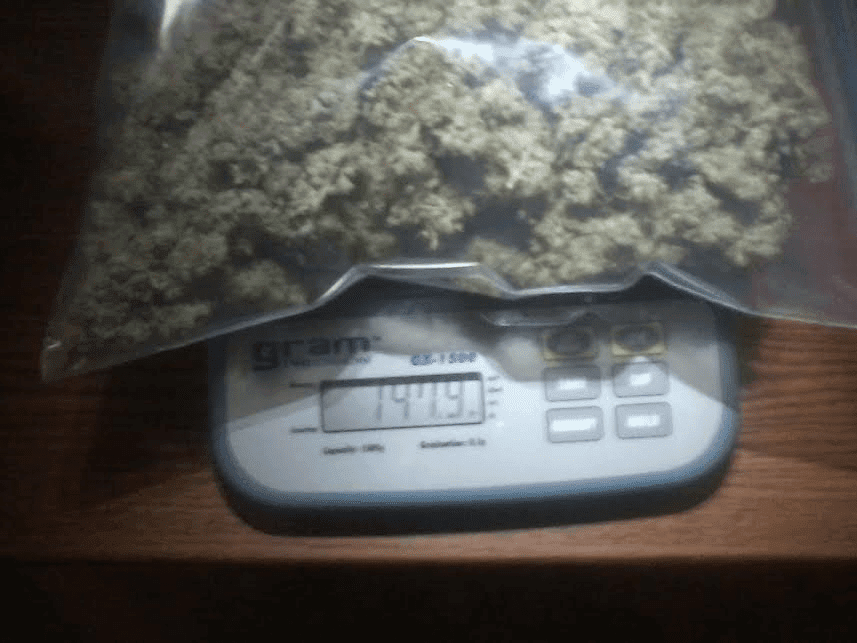 Gg441517