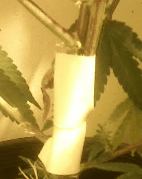 Gg4brokeandtaped621117