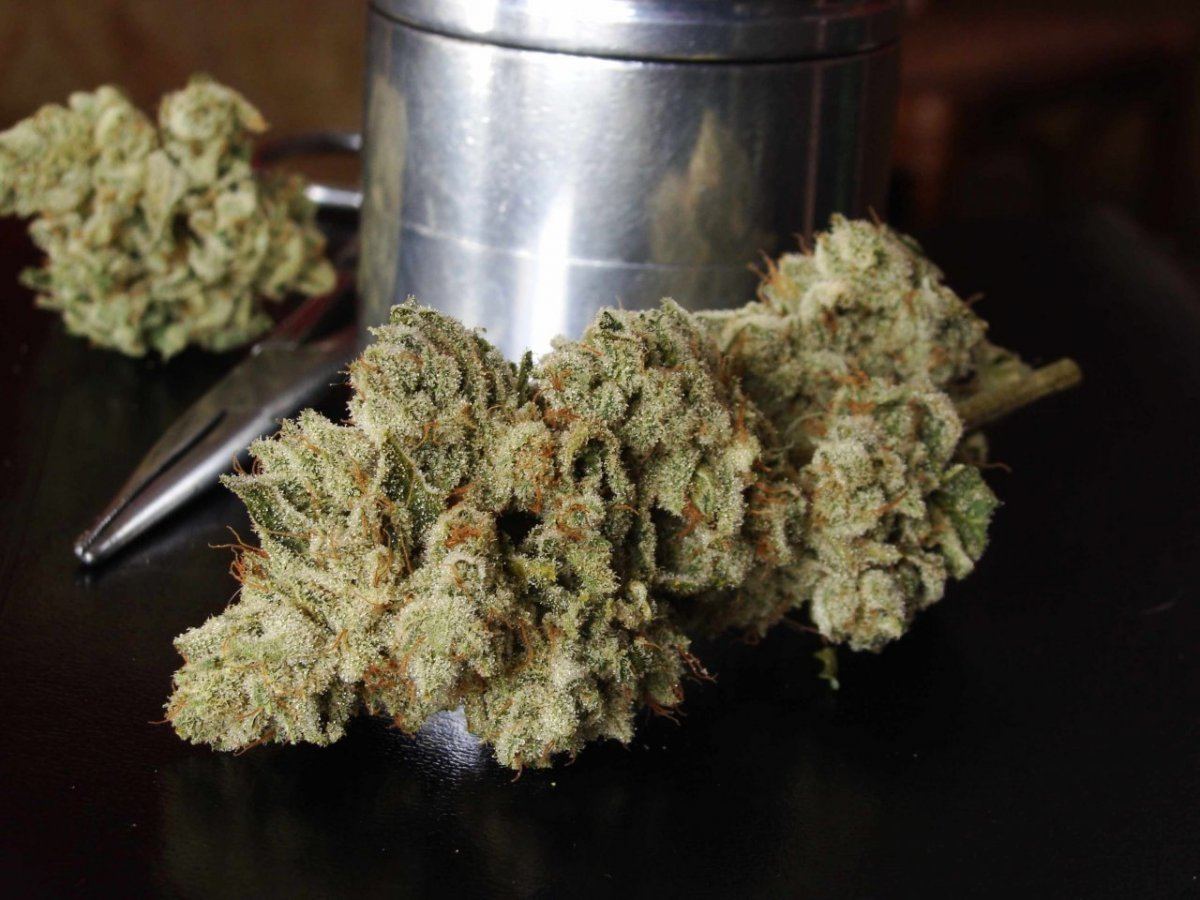 GG4driedHair