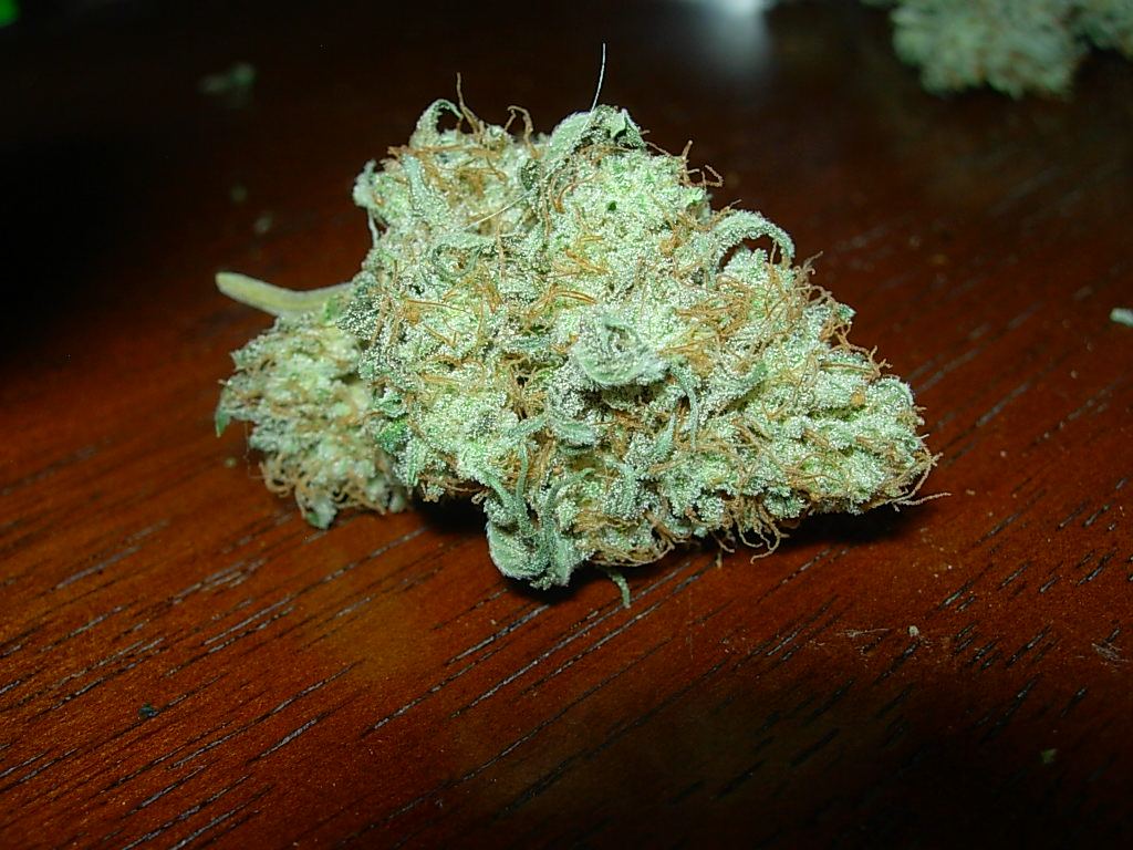 Gg4gq2 1
