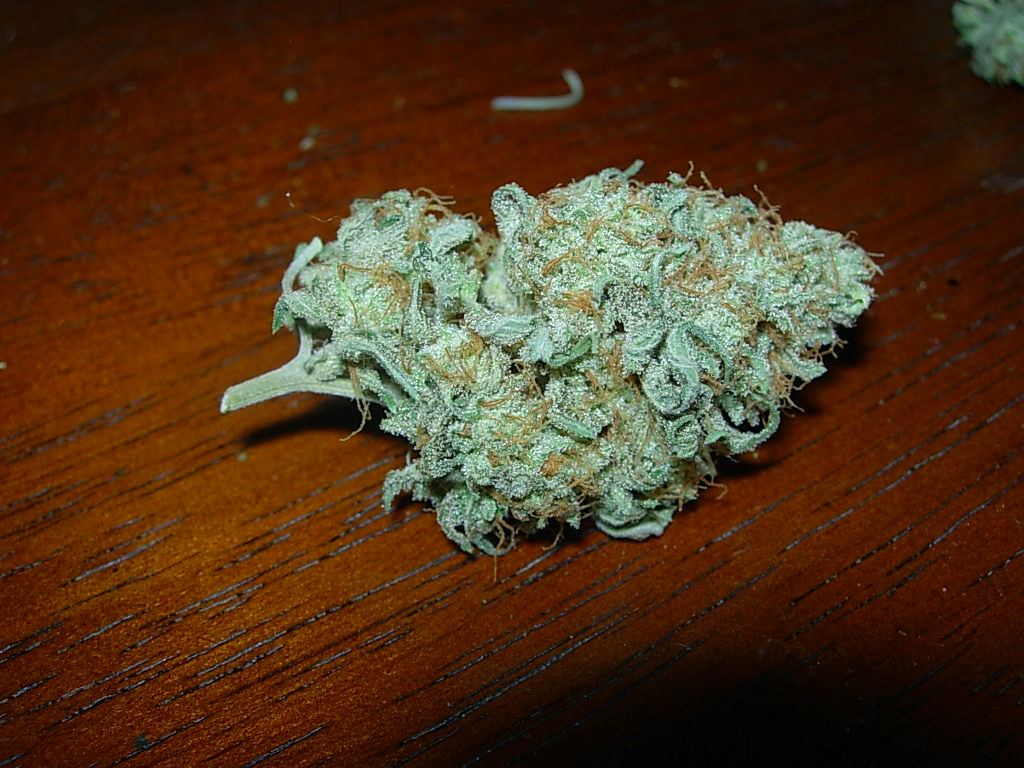 Gg4gq2 2