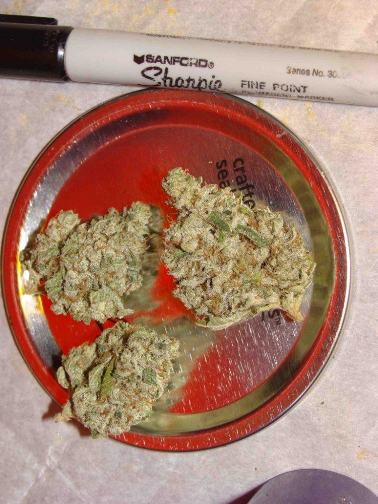 GG4sample