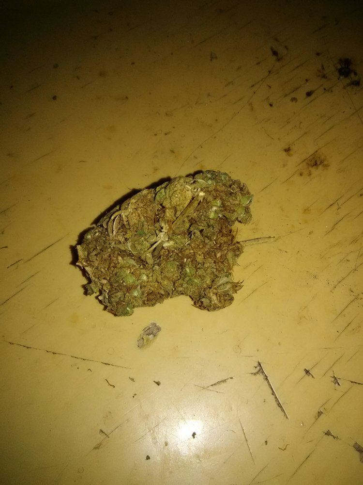 Gg4yearcure92418