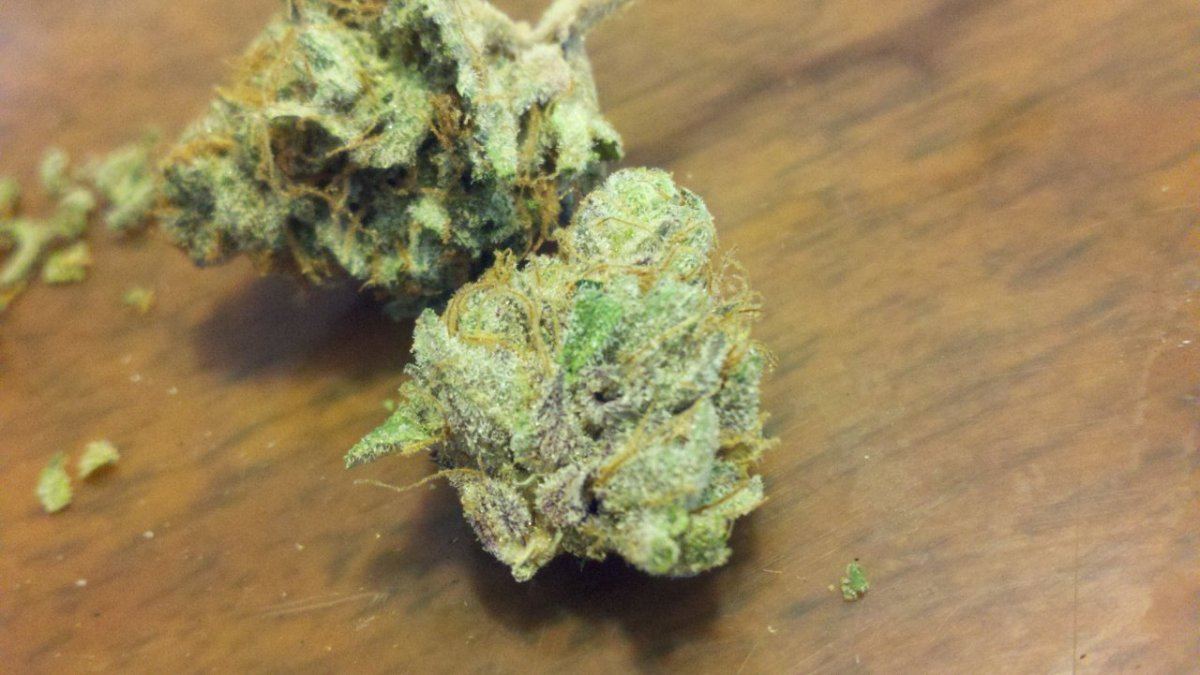 Ggk10
