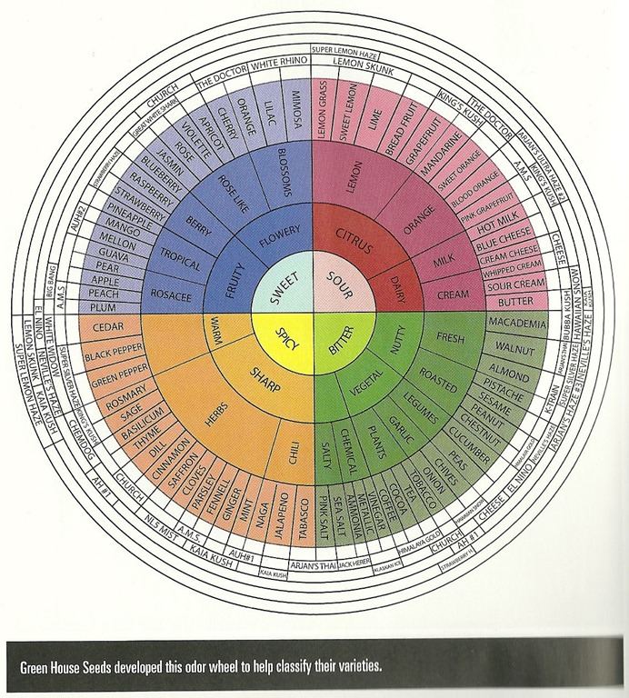 Ghchart