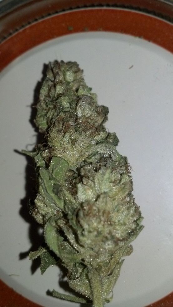 Ghost bubba nug shot