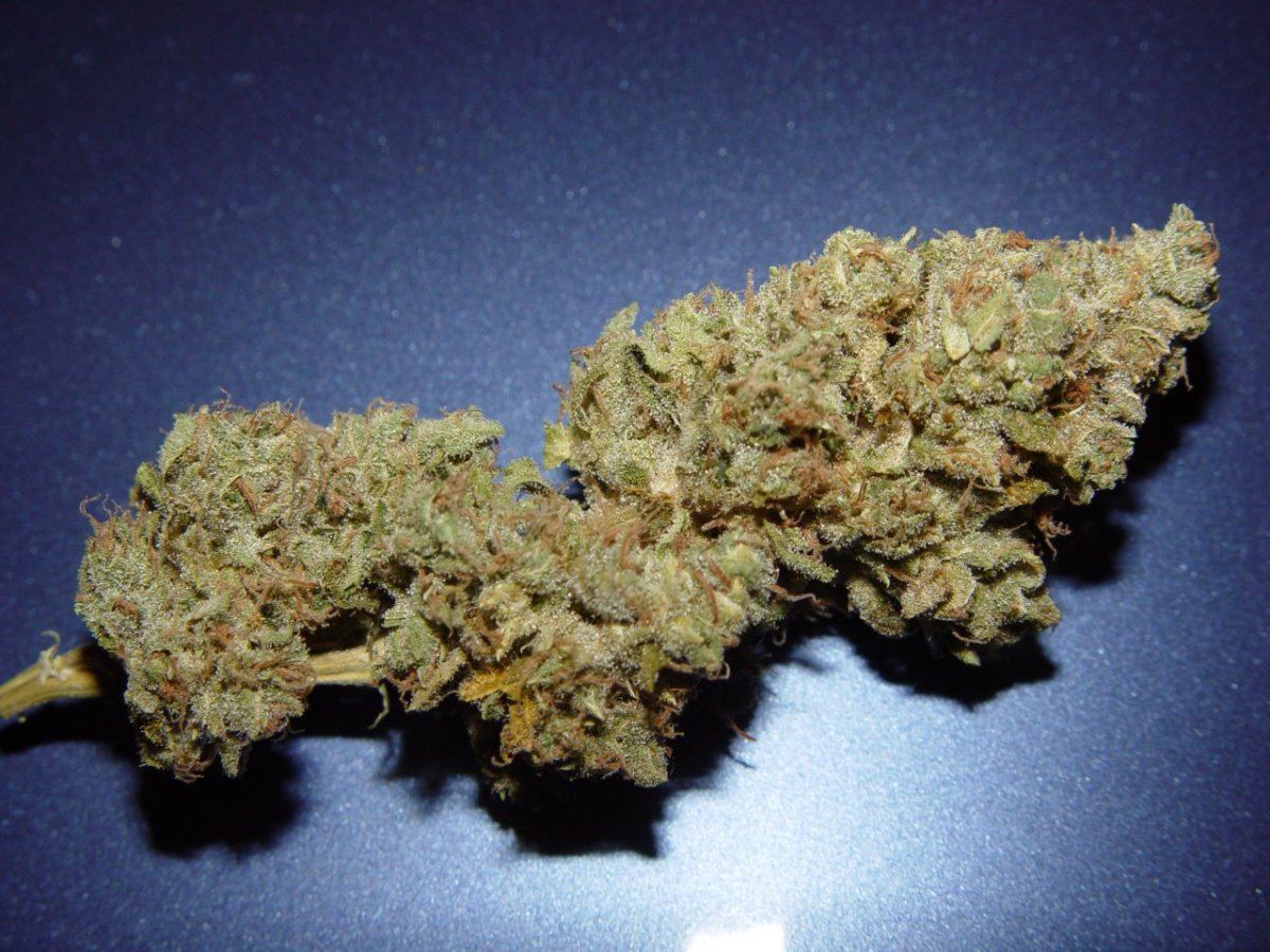 Ghost OG 1