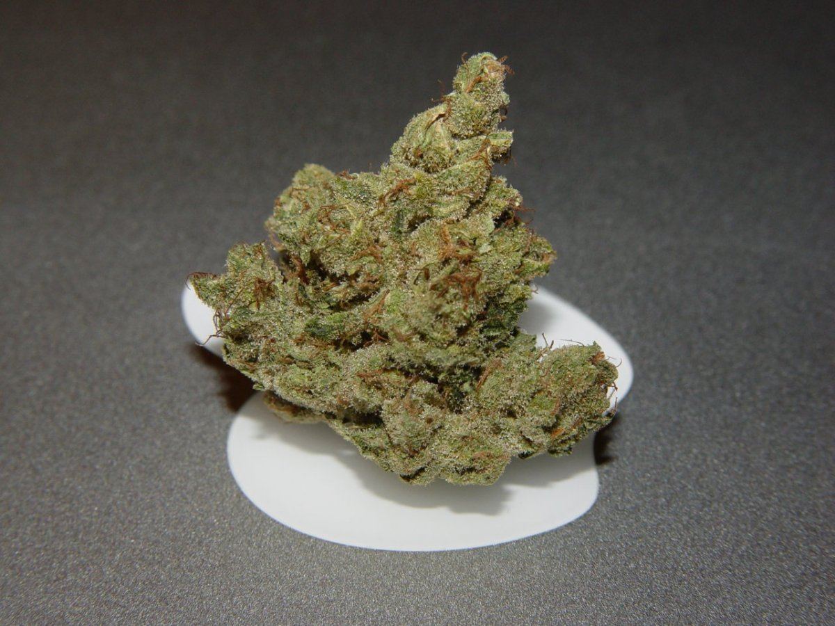 Ghost OG  1
