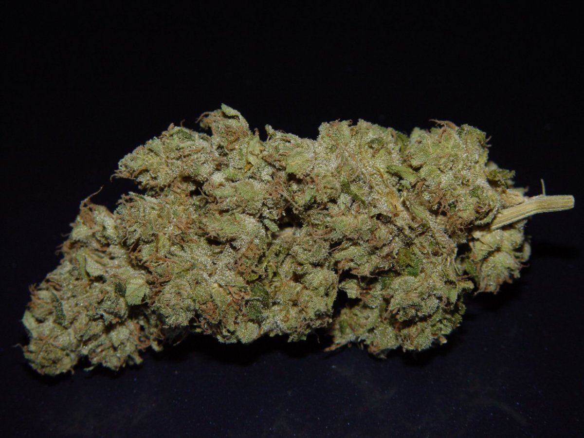 Ghost OG 2