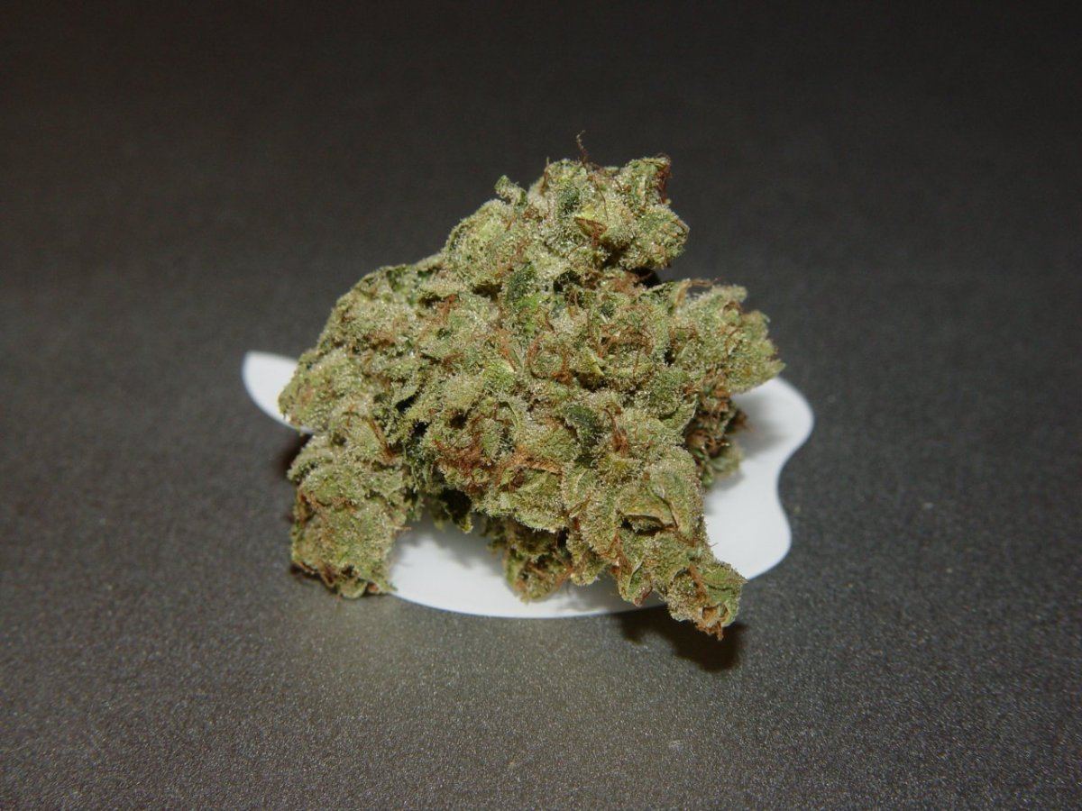 Ghost OG  2
