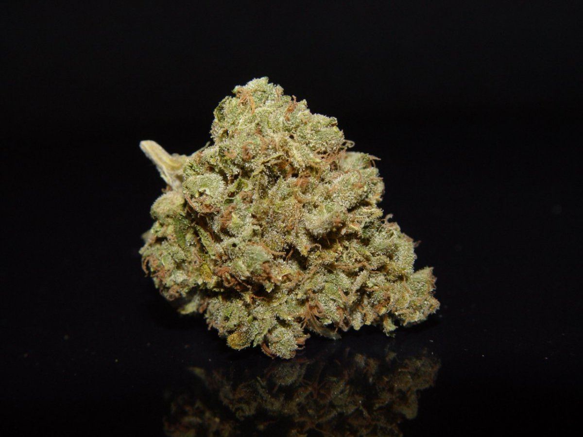 Ghost OG 3