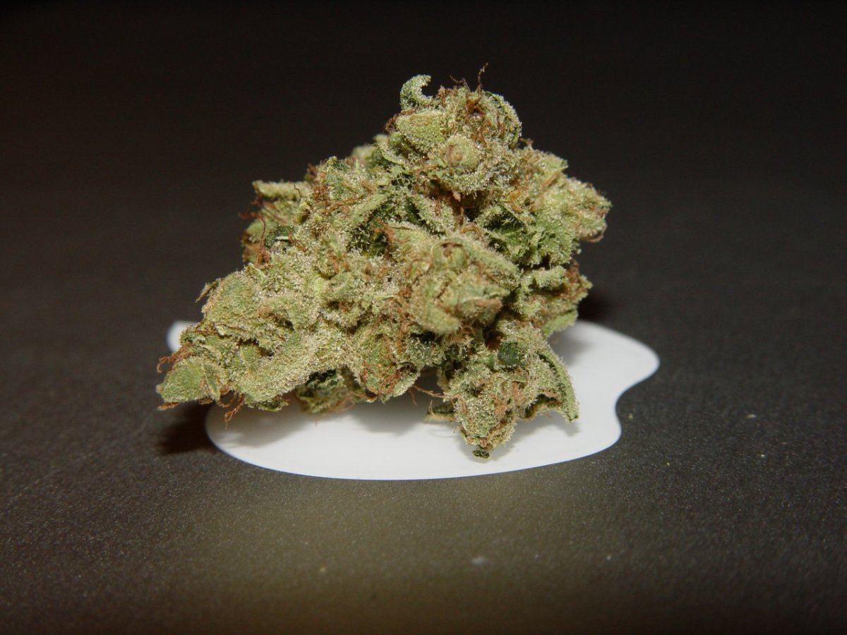 Ghost OG  3