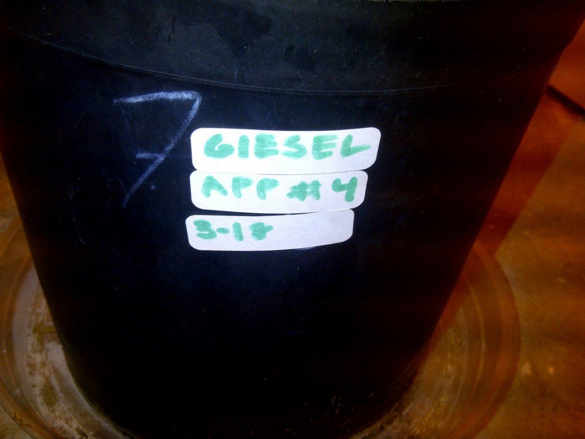 Giesel app  4