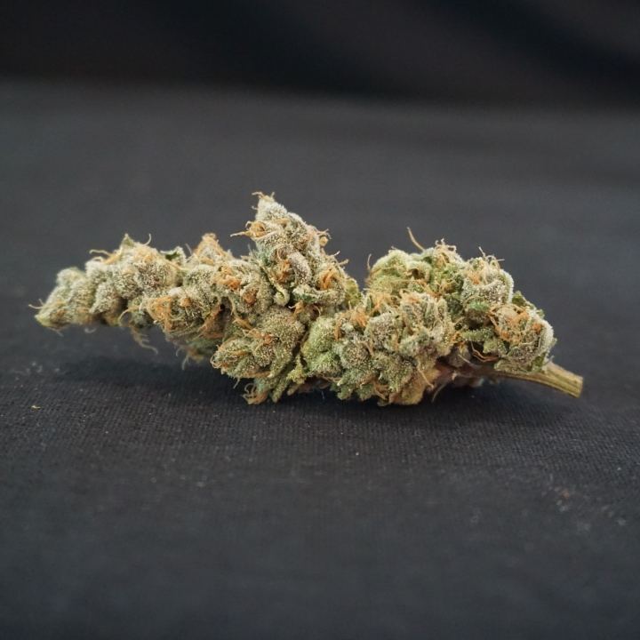 Giesel cookies 2