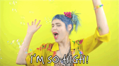 Giphy 3