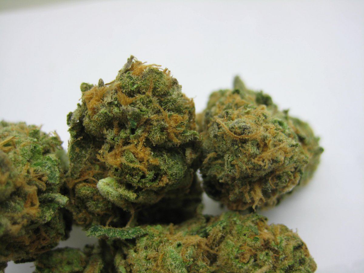 Girl scout cookies 3