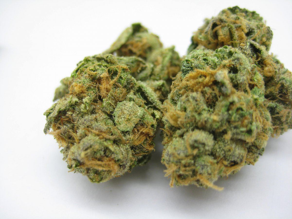 Girl scout cookies 7