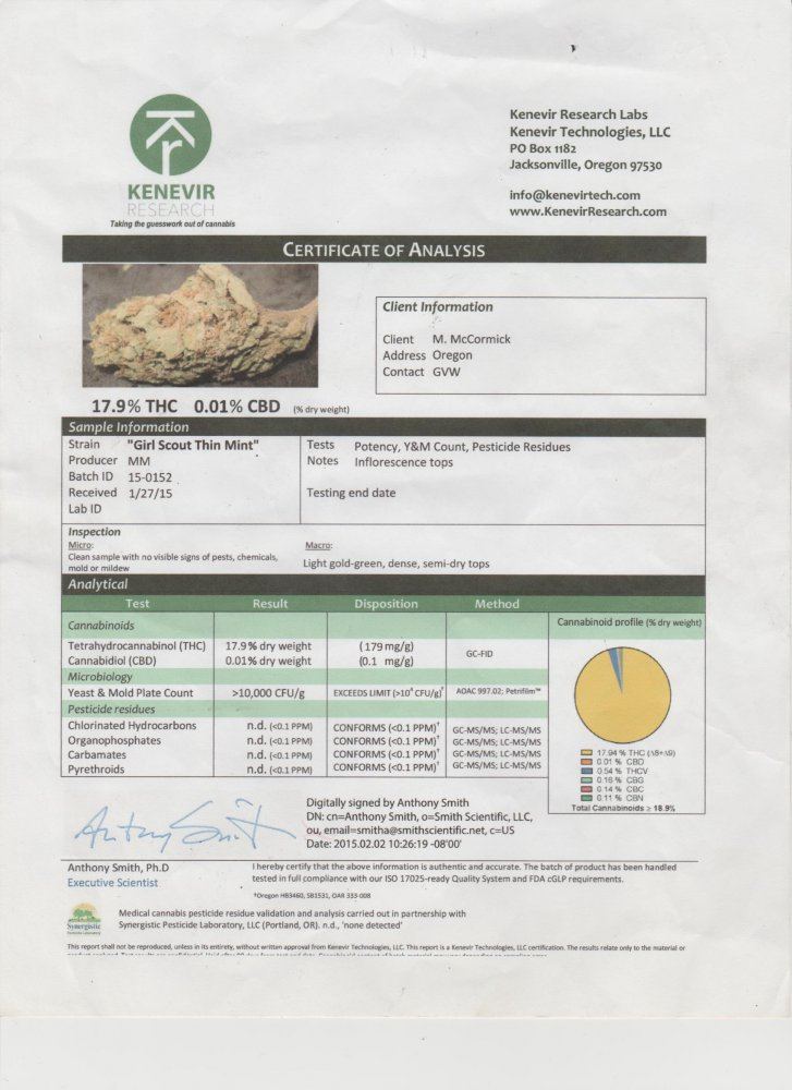 Girl Scout Test Results 001