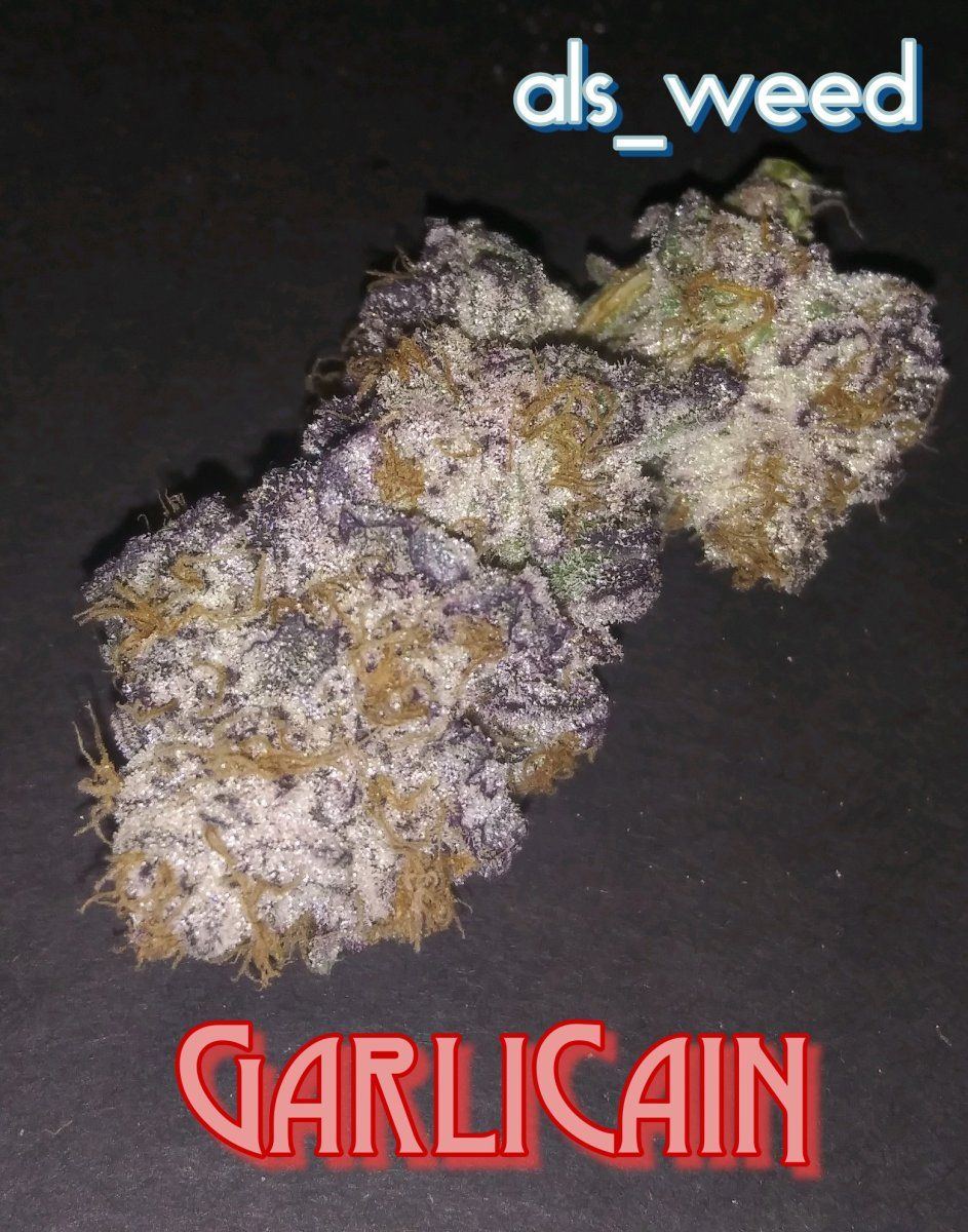 Glcn001a