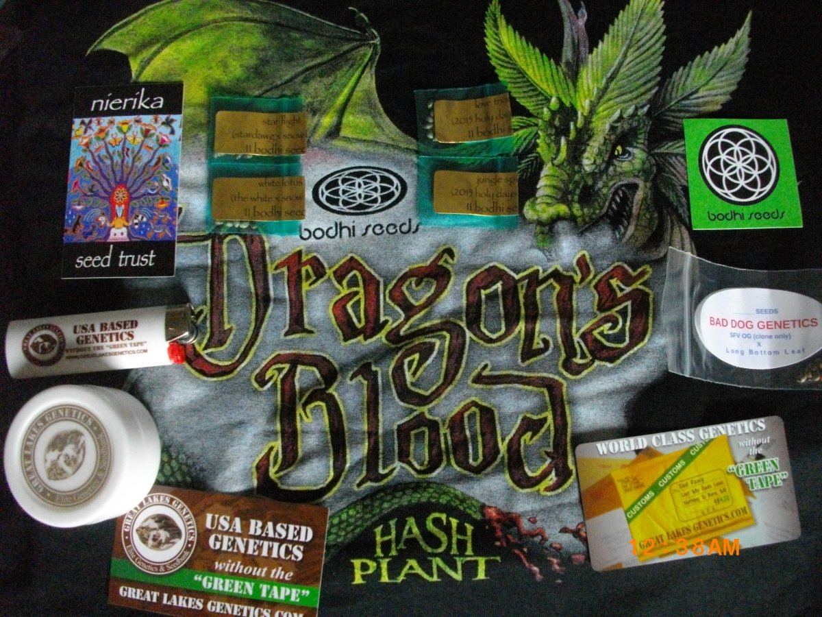 GLGDec2 001