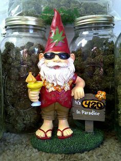 Gnome high