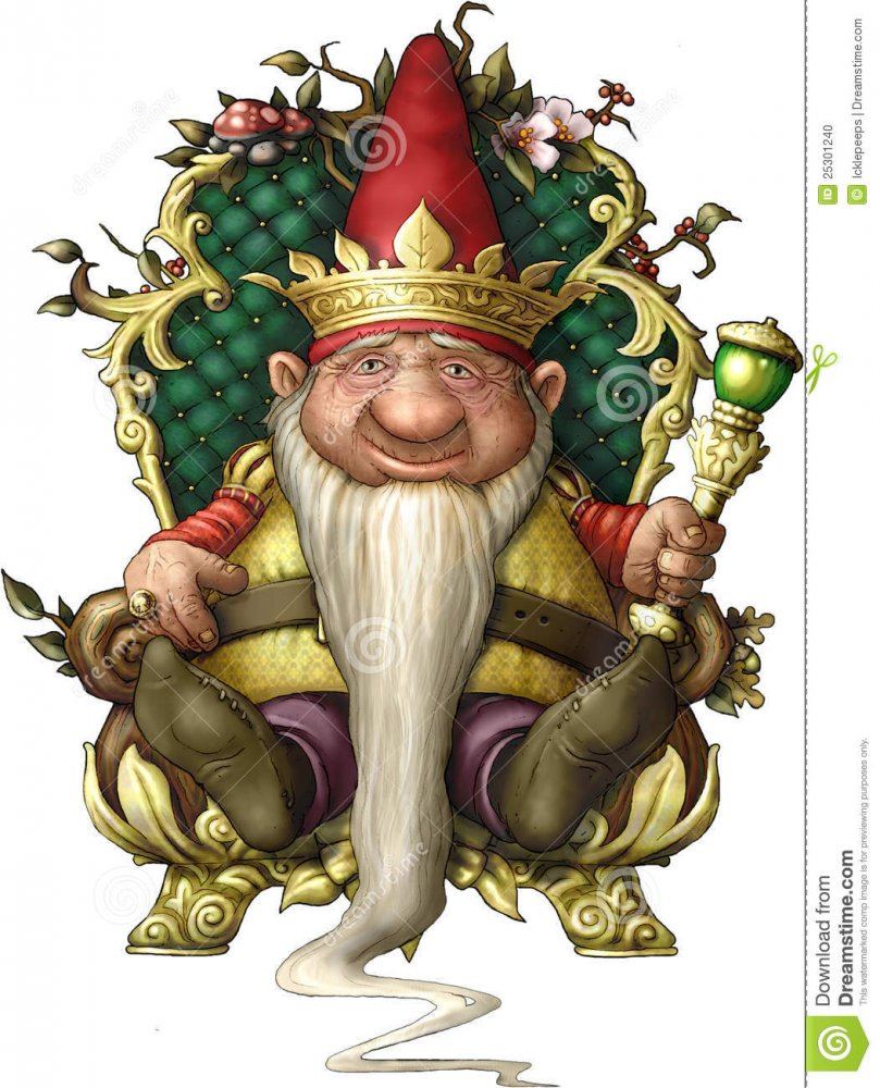 Gnome king 25301240