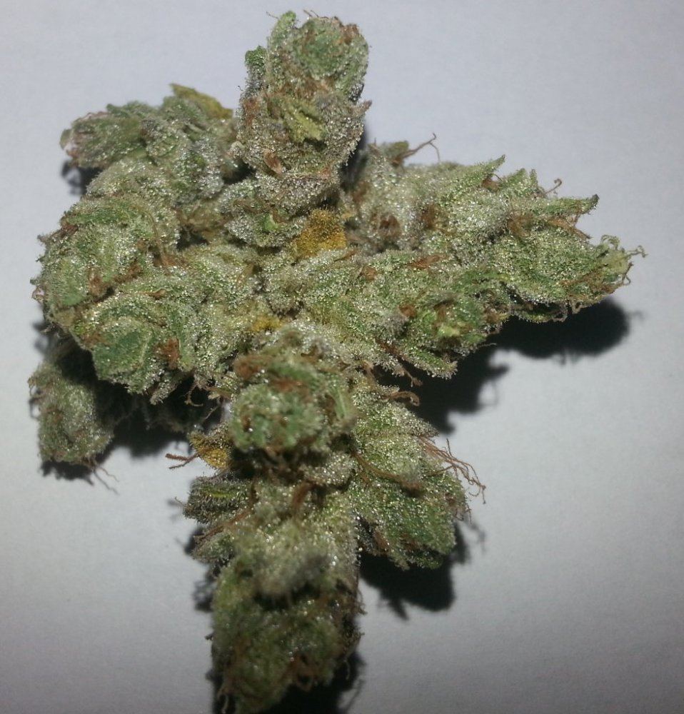 Goji OG 5