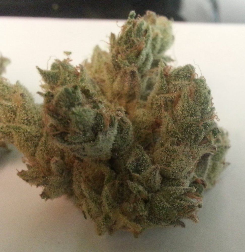 Goji OG 7