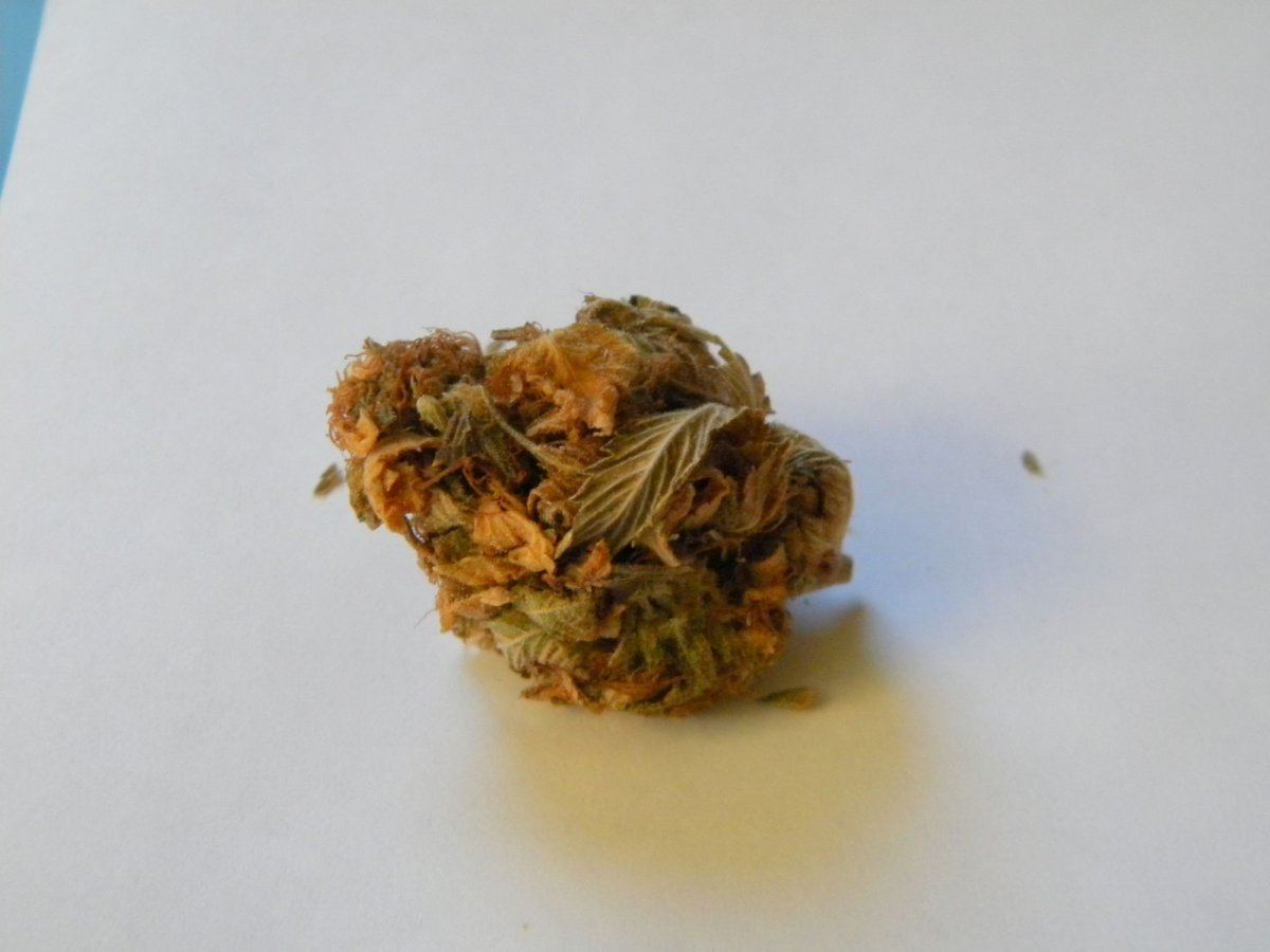 Gold Weed 010