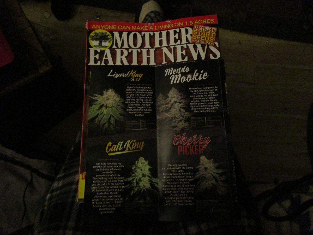 Golden lion makes front cover of mother earth news magazine 2
