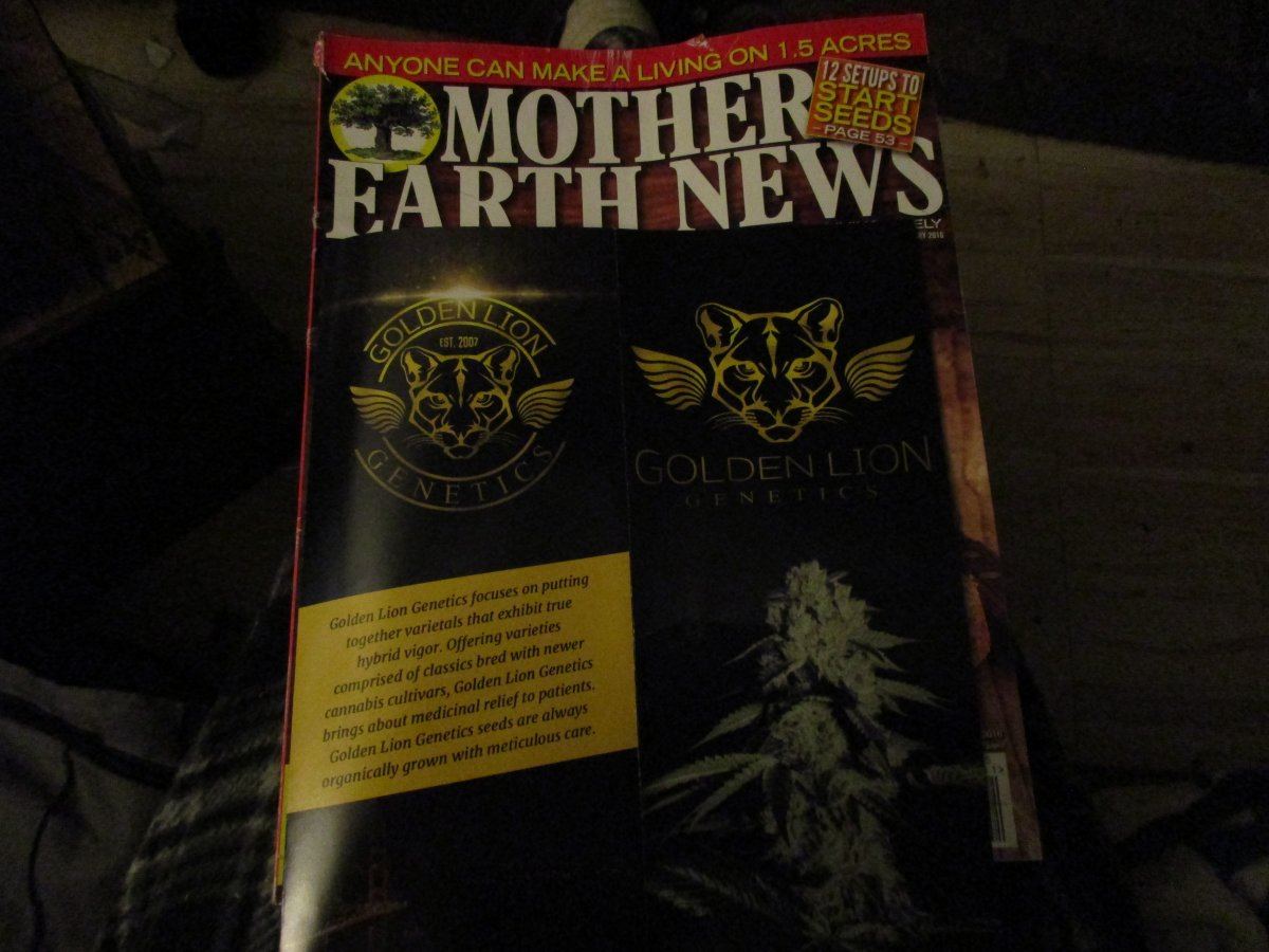 Golden lion makes front cover of mother earth news magazine