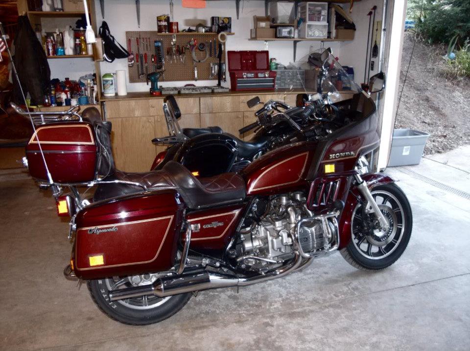Goldwing 1