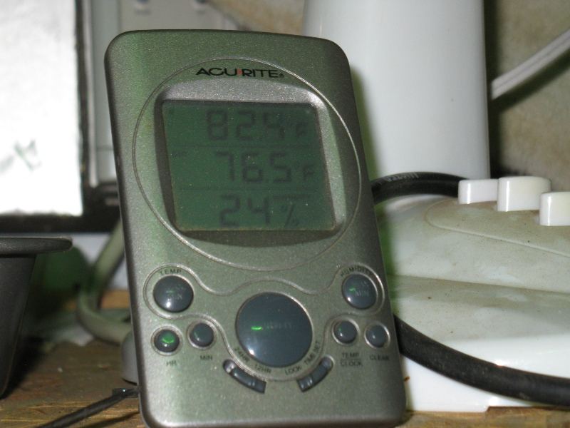 Good temps 2